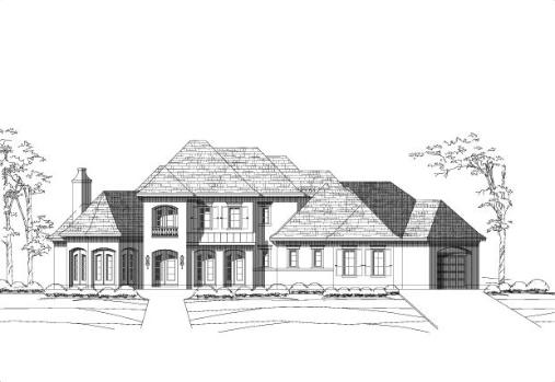 Large Image