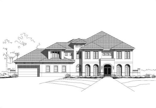 Large Image
