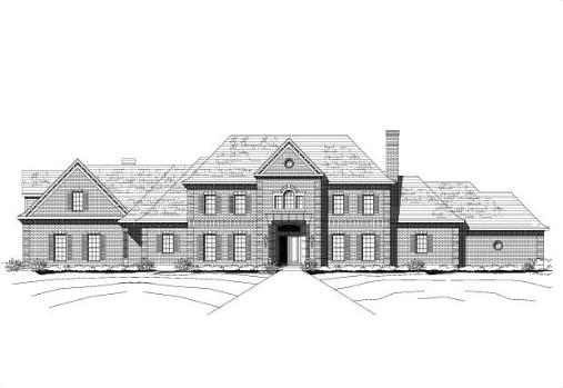 Large Image