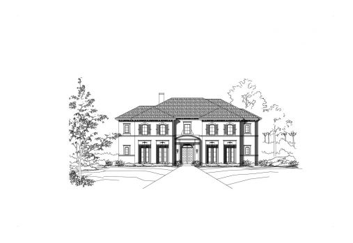 Large Image