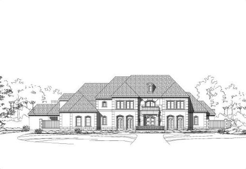 Large Image