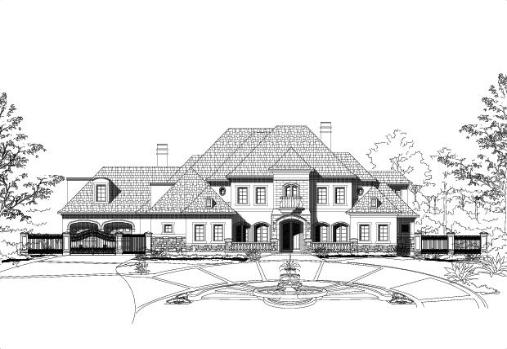 Large Image