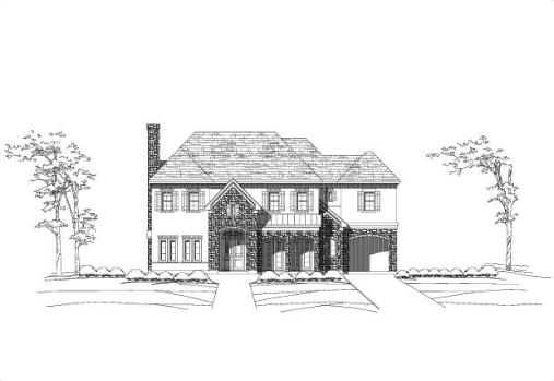 Large Image