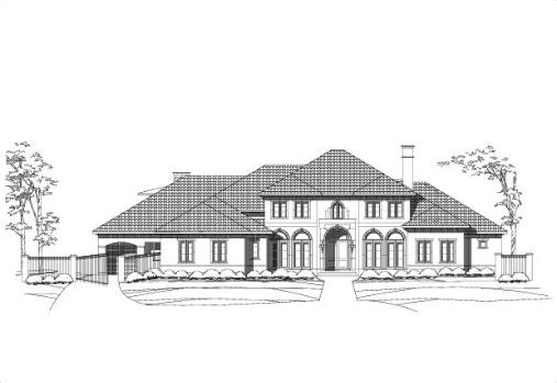 Large Image