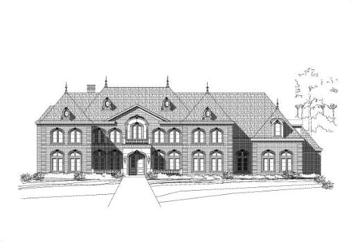 Large Image