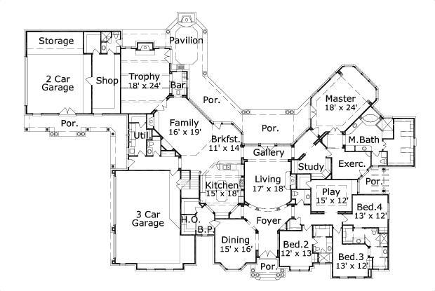 Elevation