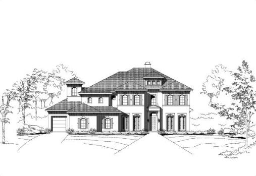 Large Image