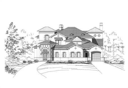 Large Image