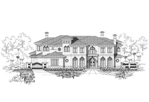 Large Image