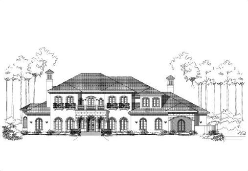 Large Image