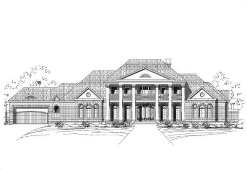 Large Image