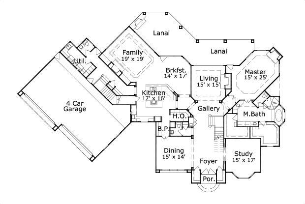 Elevation