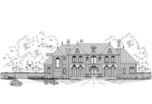 Large Image