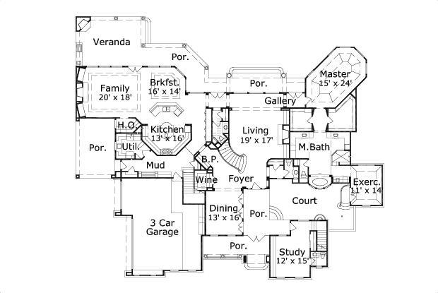 Elevation
