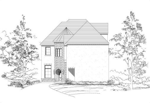 Large Image