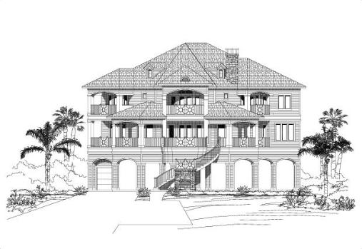 Large Image