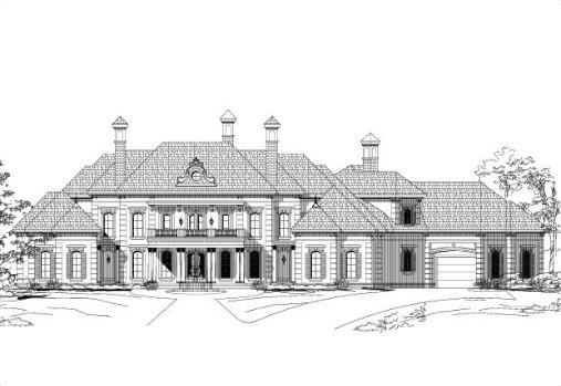 Large Image