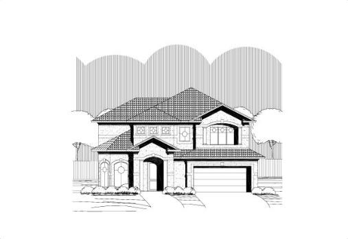 Large Image
