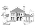 Elevation