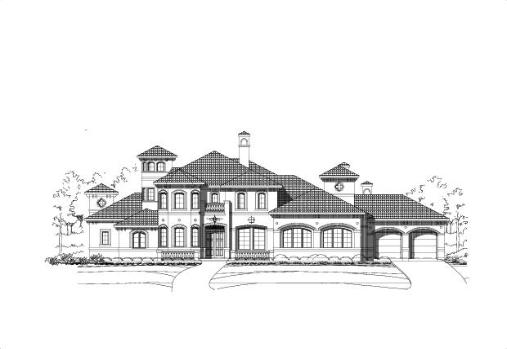 Large Image