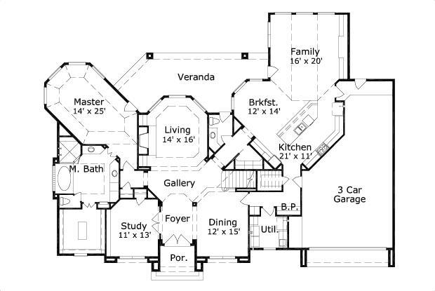 Elevation