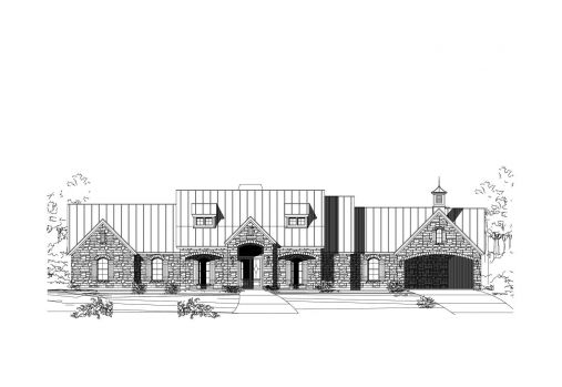 Large Image