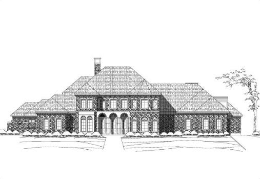Large Image