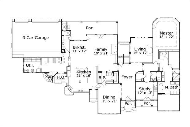 Elevation