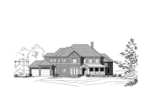 Large Image