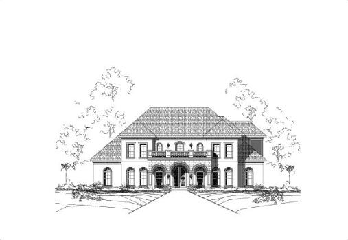 Large Image