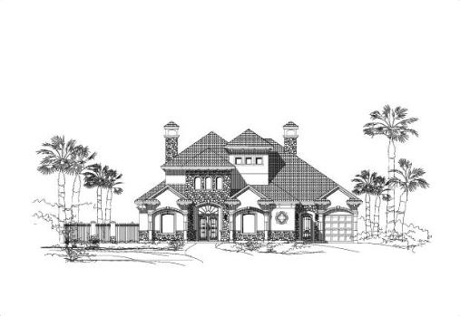 Large Image