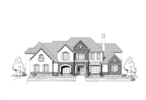 Large Image