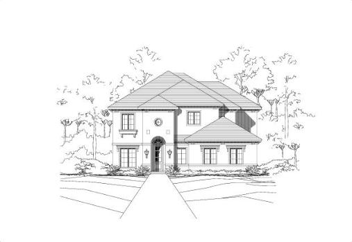 Large Image