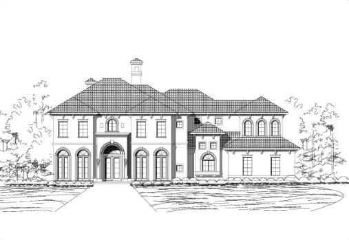 Large Image