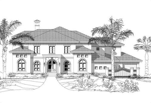 Large Image