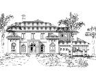 Elevation