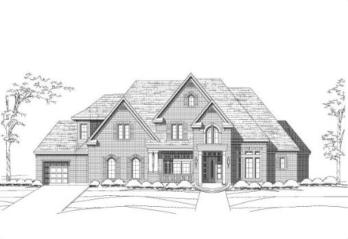 Large Image