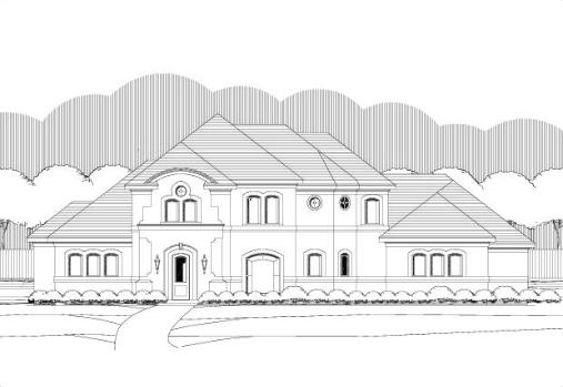 Large Image