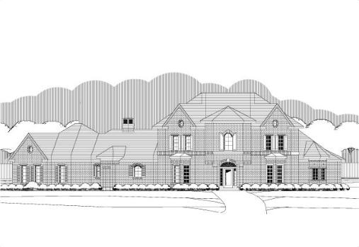 Large Image