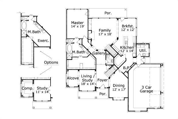 Elevation