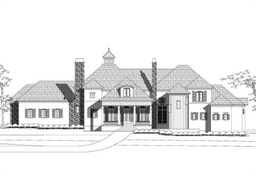 Large Image