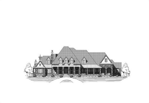 Large Image
