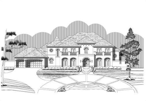Large Image