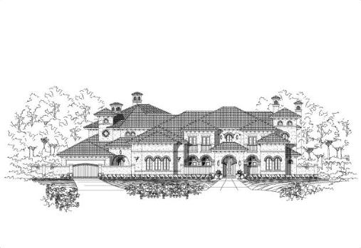 Large Image