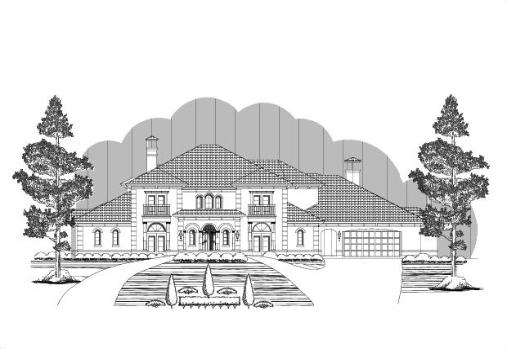 Large Image