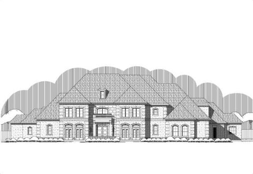Large Image