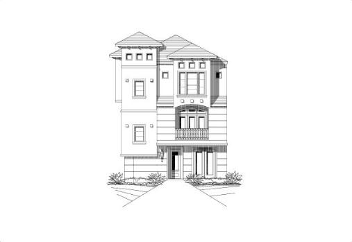 Large Image