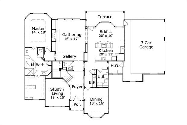 Elevation