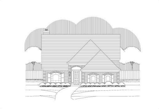 Large Image