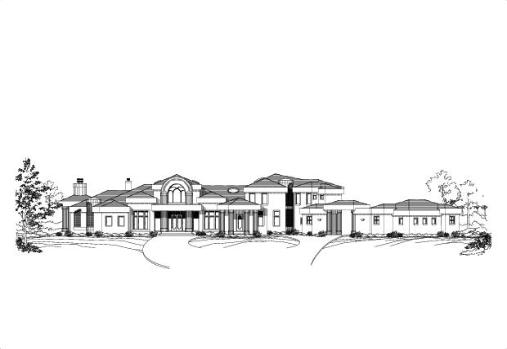 Large Image